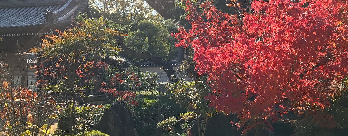 横蔵寺には手入れされた日本庭園がございます。